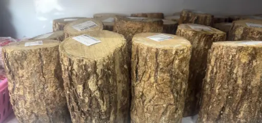 [WH02228] ရှင်မတောင်သနပ်ခါးတုံး အလတ်