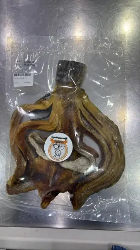 [WH02852] မေ့လက်ရာငါးရံခြောက်